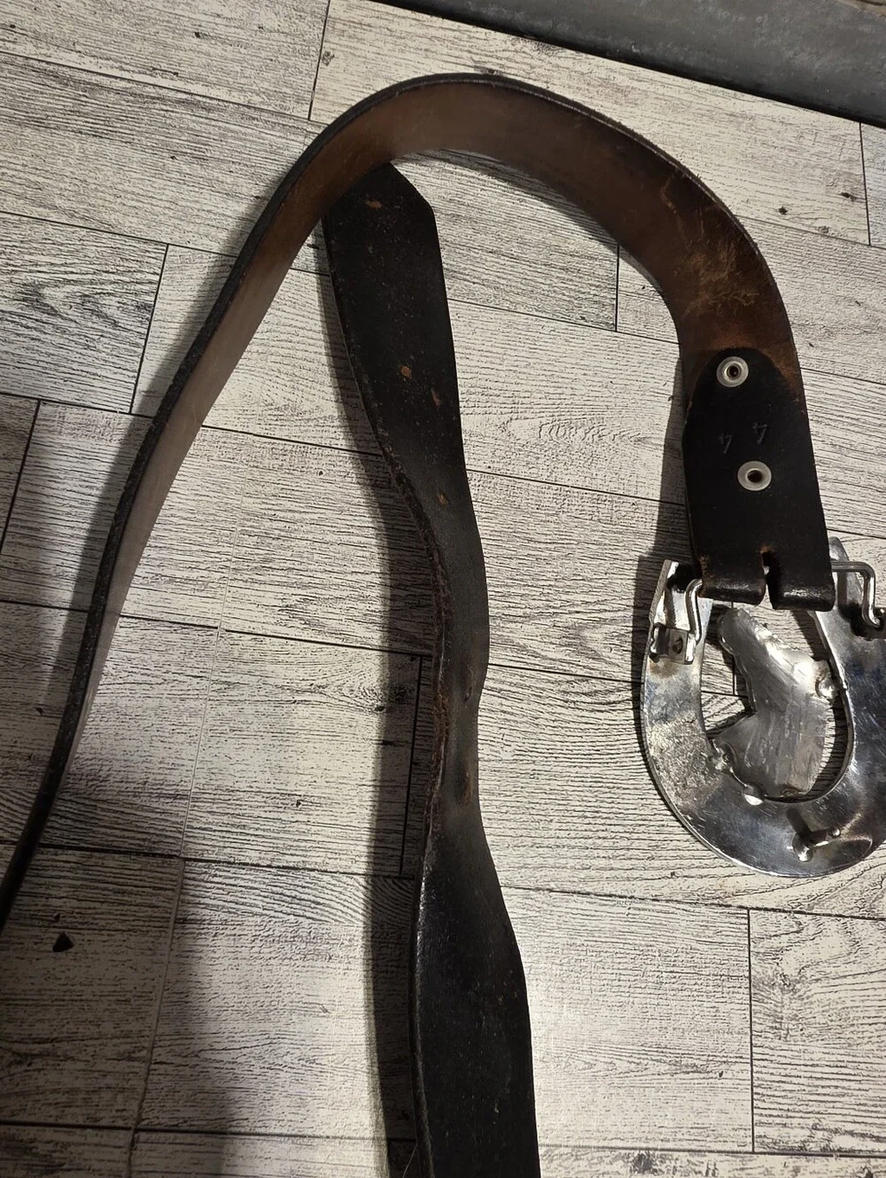 Western Horse Head Horseshoe Belt Buckle - Silver Tone